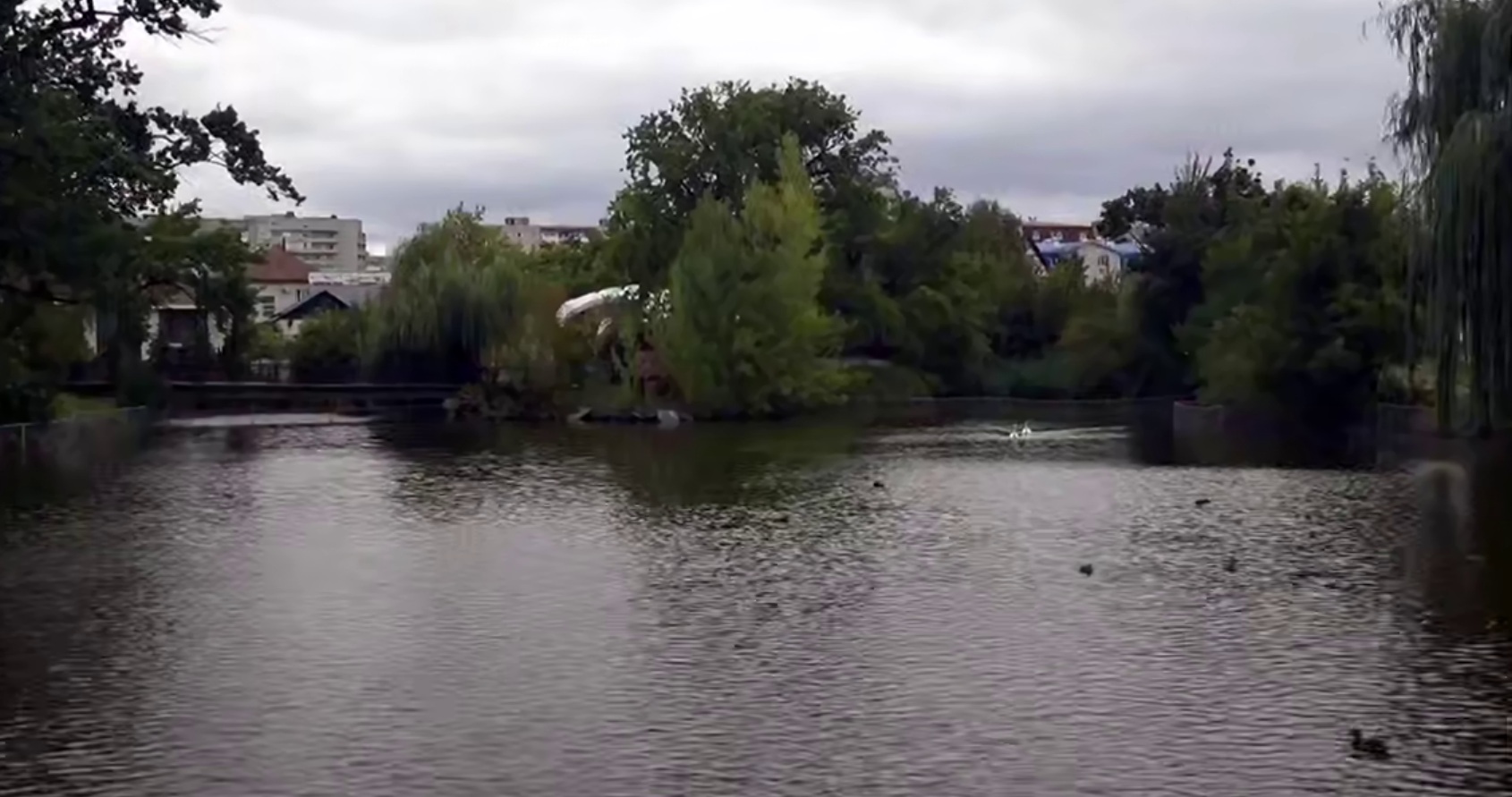 Саратовские депутаты займутся развитием городского парка